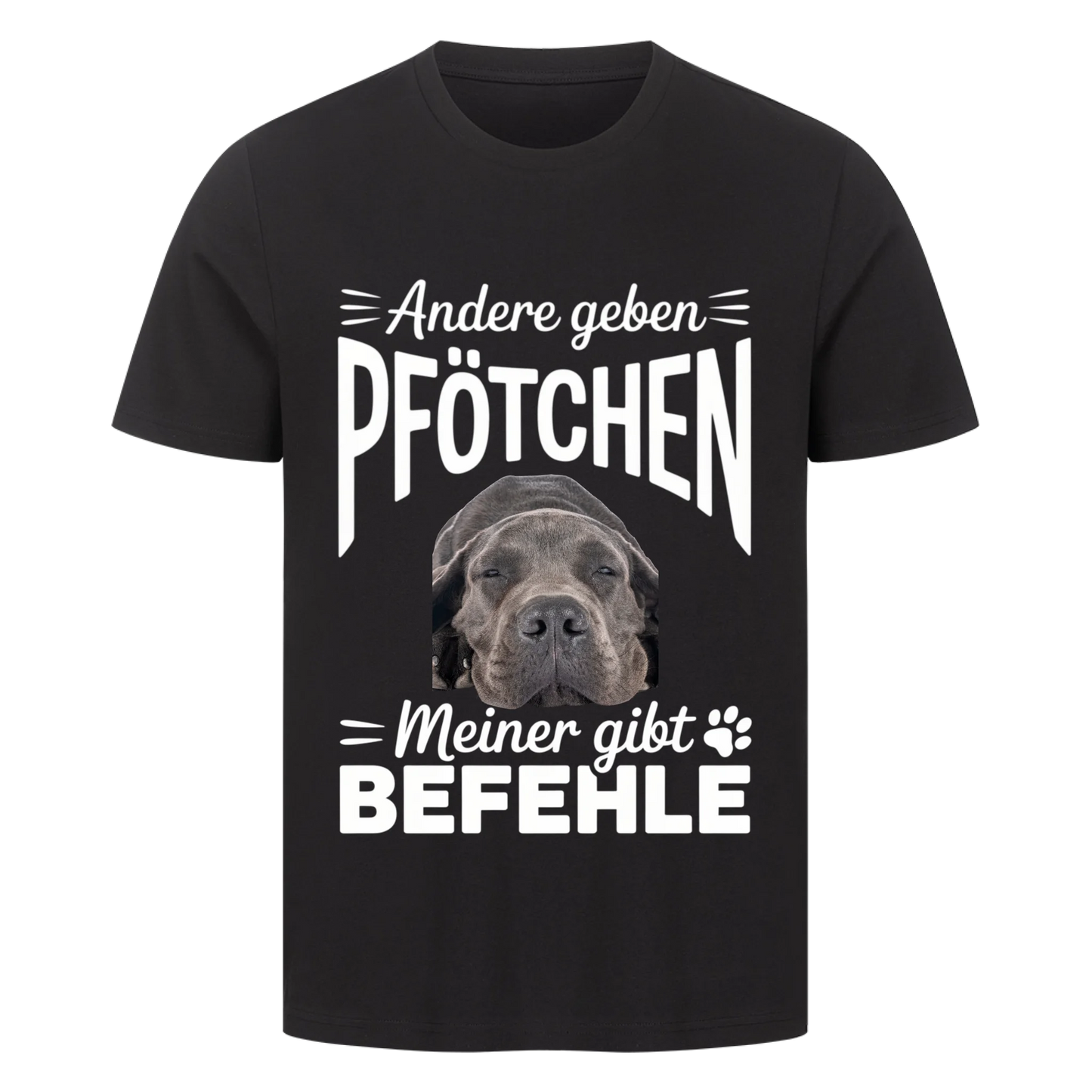 Befehl T-Shirt