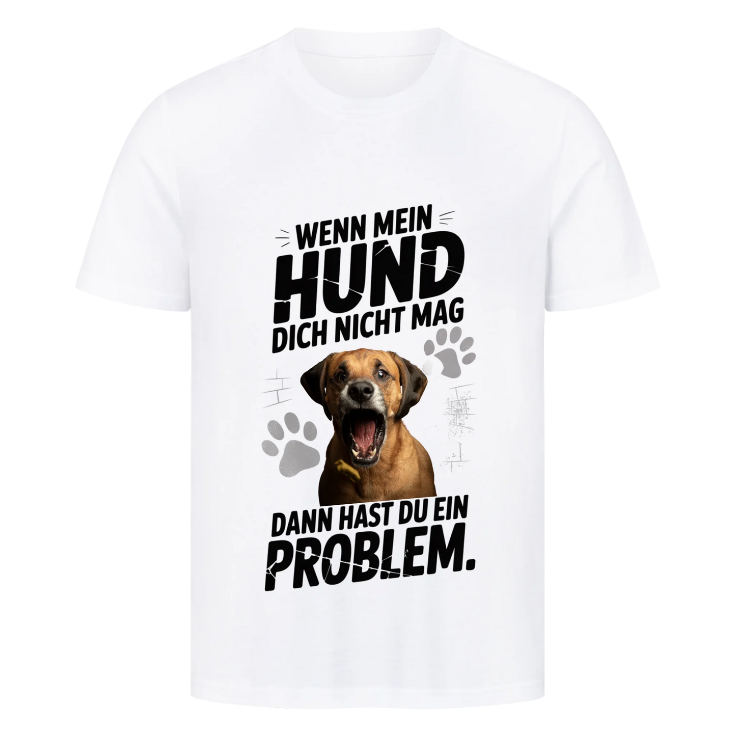 Problem T-Shirt