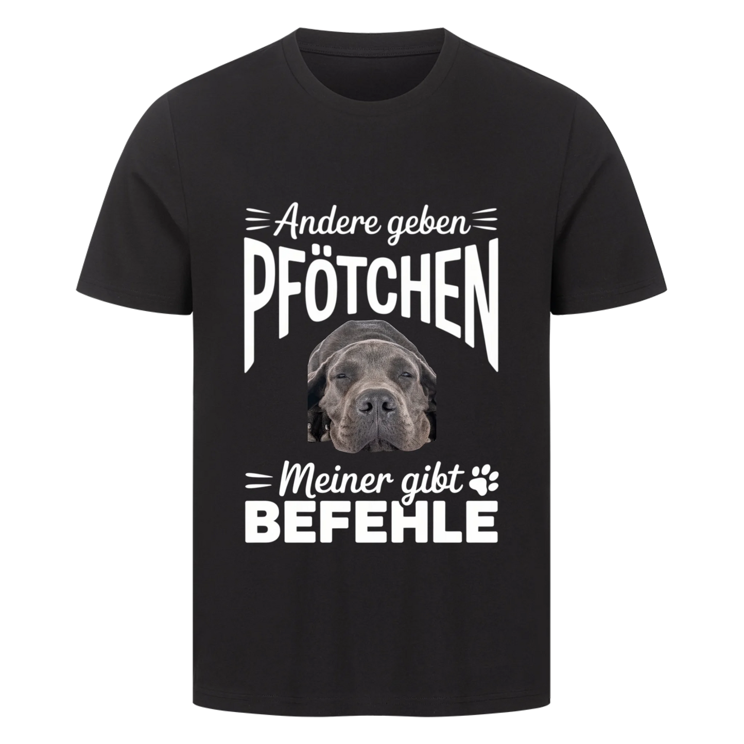 Befehl T-Shirt