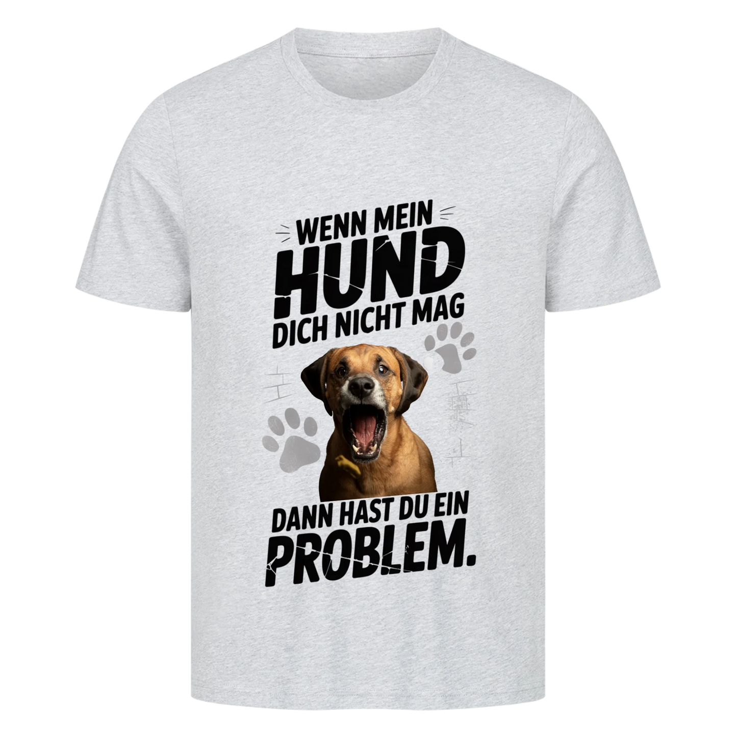 Problem T-Shirt