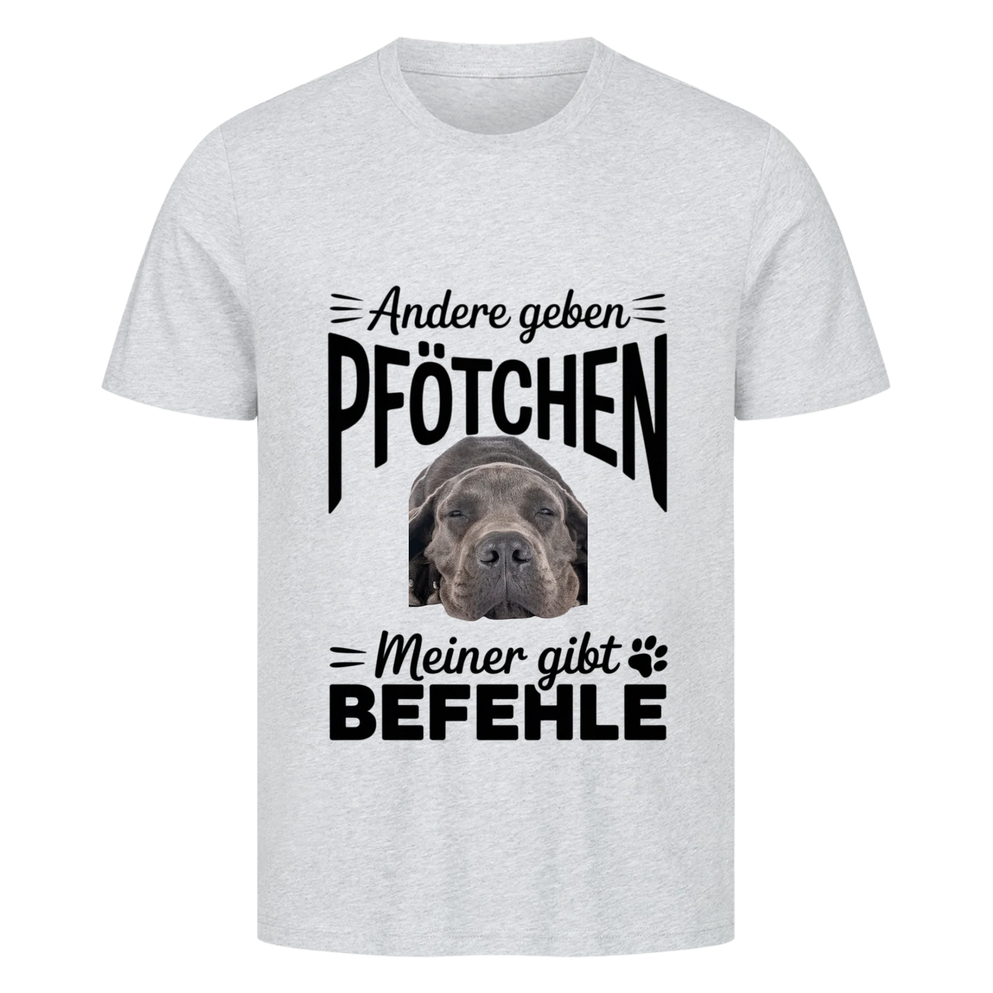 Befehl T-Shirt