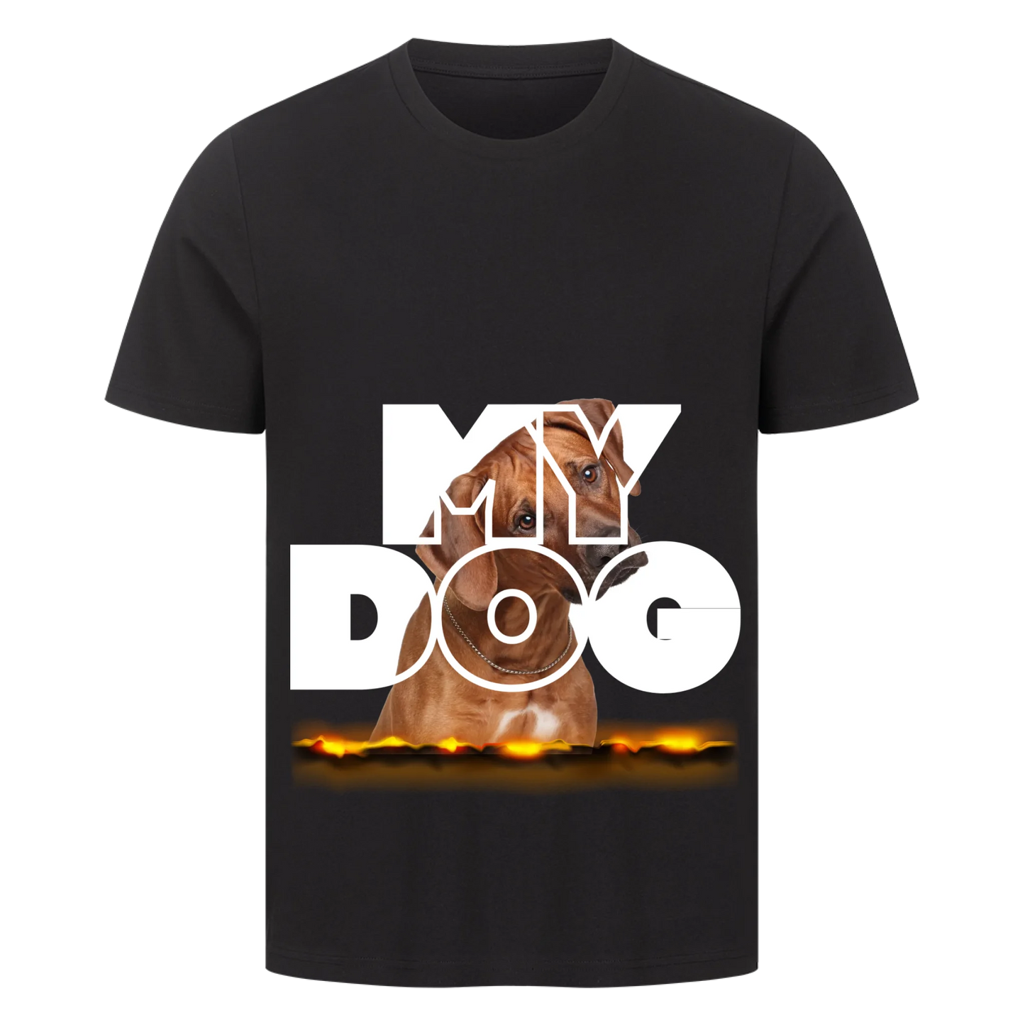 My Dog